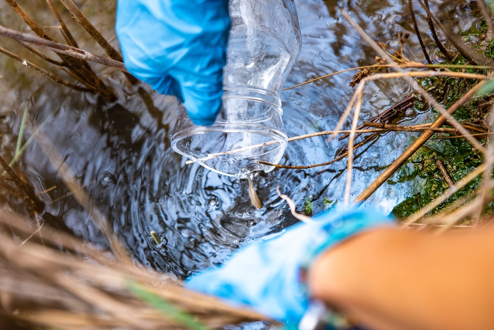 Reintroducción del Fartet en el Delta de Llobregat