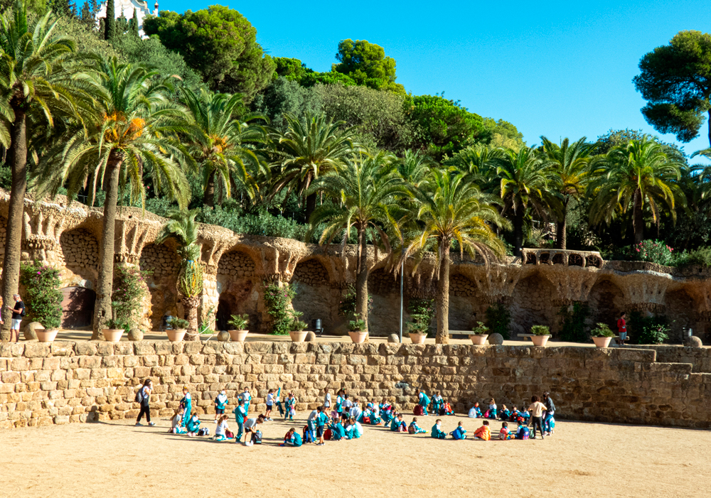 Plaça de la natura amb un grup escolar