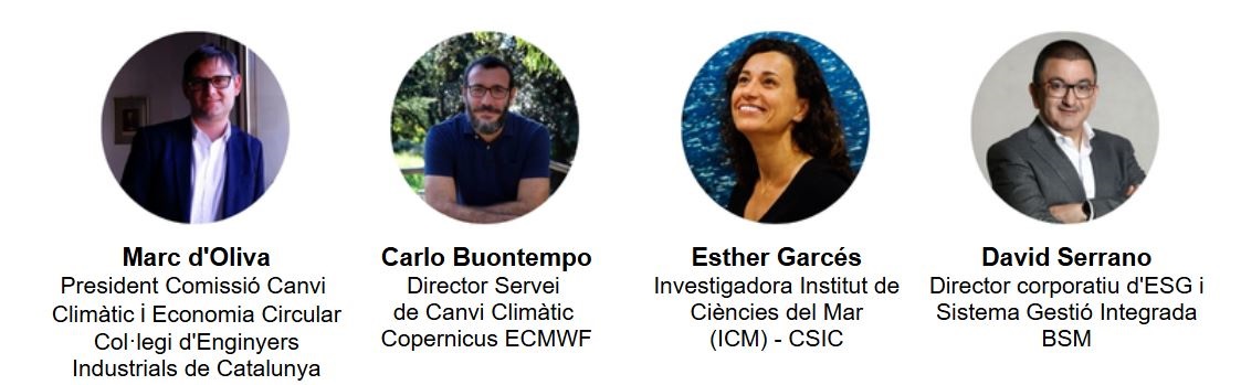 converses_bsm_ponents