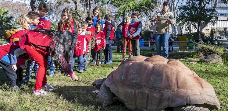Tortuga del Zoo de Barcelona envoltades per infants