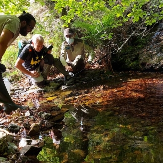 Alliberament dels tritons del Zoo de Barcelona