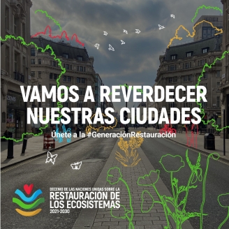 Cartell de la campanya de l'ONU " Tornem a fer verdes les nostres ciutats"