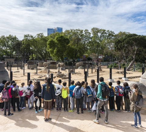 Grupo de niños observando a los animales del Zoo de Barcelona