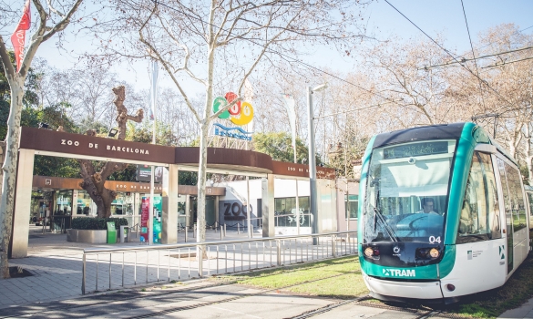 Porta d'accés al Zoo de Barcelona un dia solejat amb un tramvia a punt de passar per davant