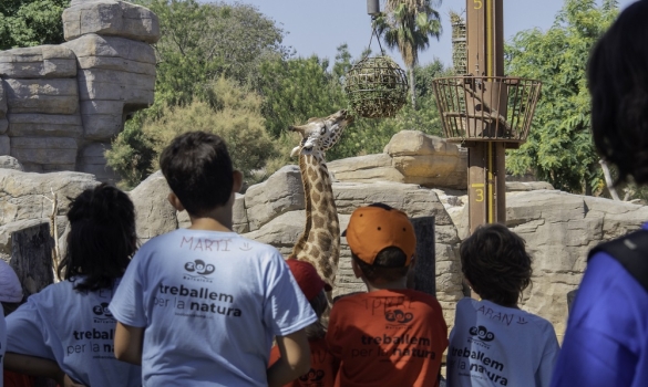 Grup de nens i nenes al casal del Zoo de Barcelona