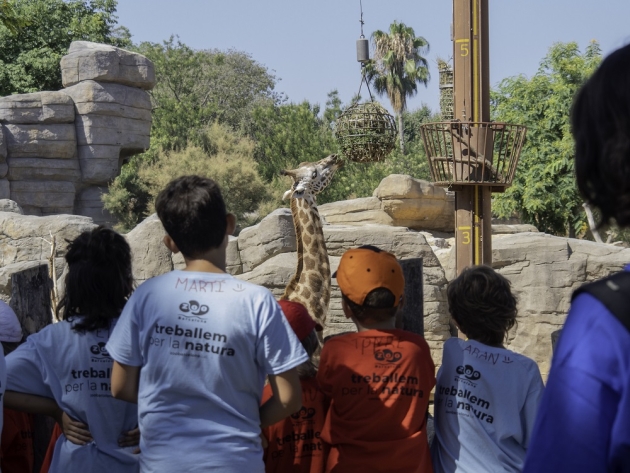 Grup de nens i nenes al casal del Zoo de Barcelona