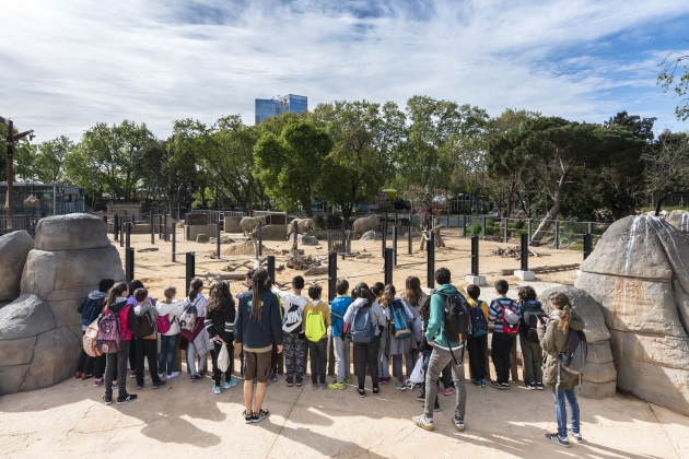 Group of children observing the animals of the Barcelona Zoo