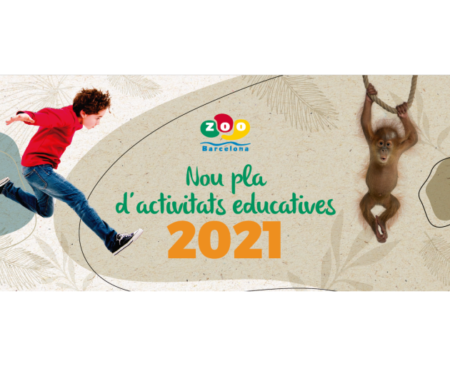 Activitats educatives del Zoo de Barcelona